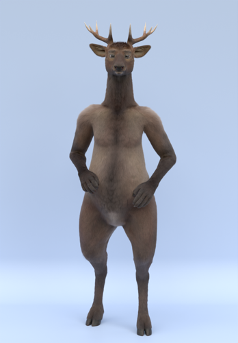 Wapiti Deer 3d model preview image